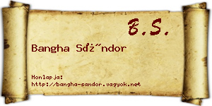 Bangha Sándor névjegykártya