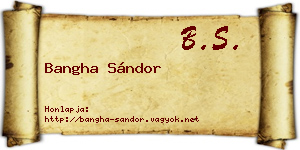 Bangha Sándor névjegykártya